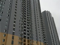 案例展示